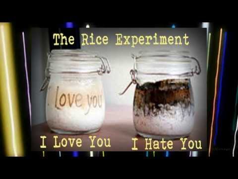 The Power of Positive Thinking Masaru Emoto&#039;s Rice Experiment