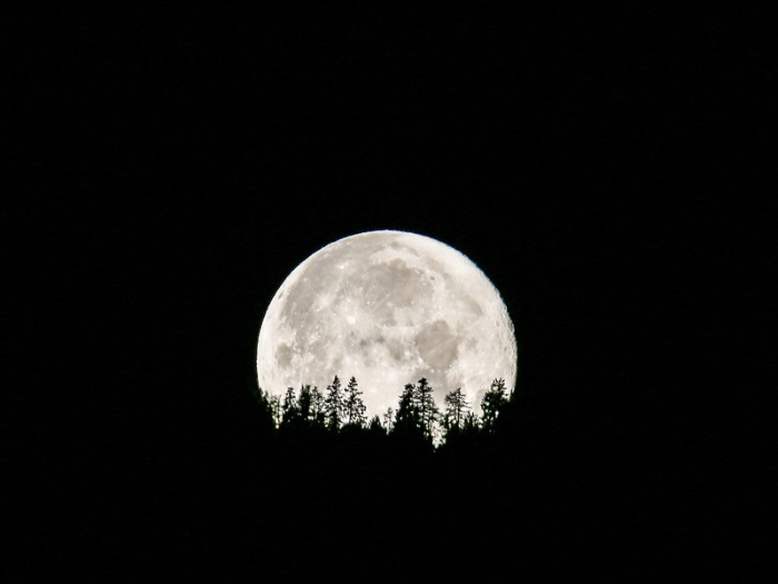 Harvest Moon-700